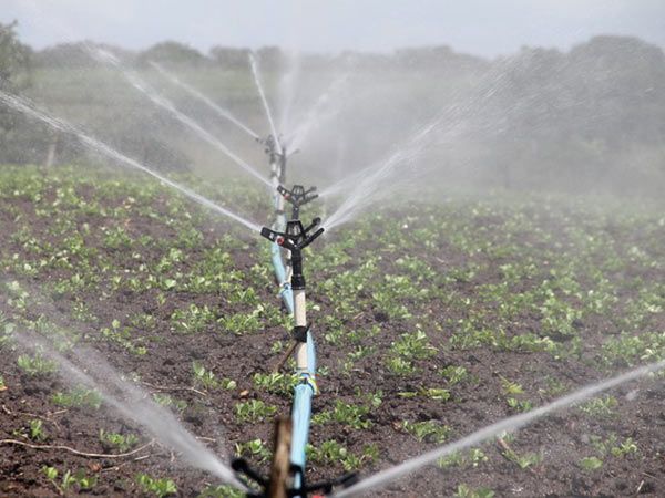 generatori di corrente per irrigazione ravenna
