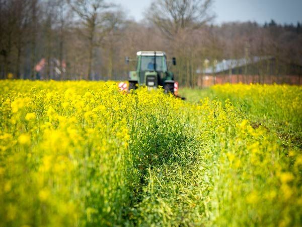gruppi elettrogeni a scopo agricolo modena